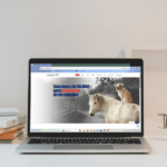 Una buena UX puede convertir tu sitio en una herramienta